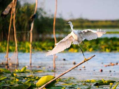 Kreuzfahrt Donaudelta