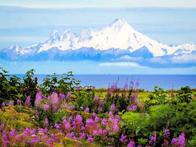 Nieuw Amsterdam Kanada Reise RouteWeißer Traum in Alaska
