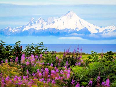 Alaska mit Glacier Bay