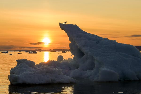 Hanseatic nature Diskobucht Kreuzfahrt Reisen 2024 & 2025 buchen