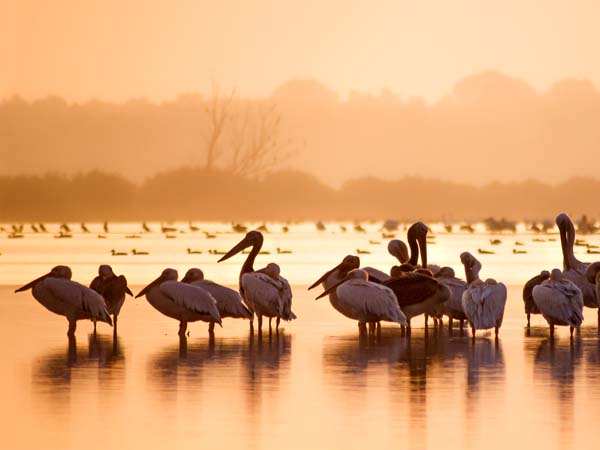 1AVista Donaudelta Kreuzfahrt 2024 buchen