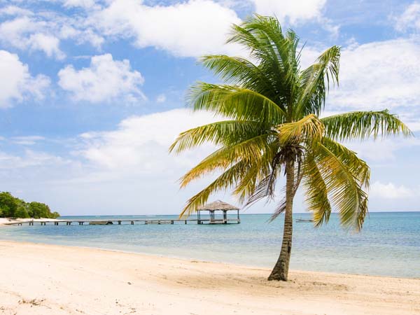 nicko cruises Seychellen Kreuzfahrt Reisen 2024 & 2025 buchen