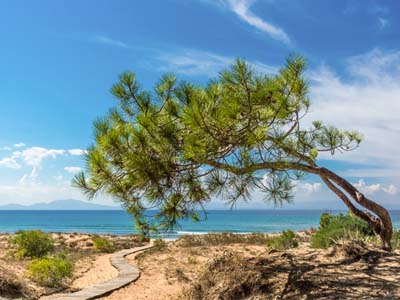 Mittelmeer Kreuzfahrt ab Piräus / Athen bis Barcelona