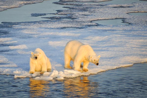 Silversea Nordost Grönland Nationalpark Kreuzfahrt Reisen 2024