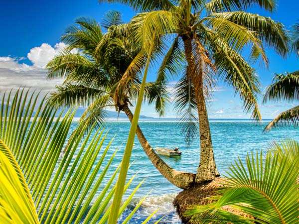 Phoenix Reisen Polynesien Kreuzfahrt 2025 buchen