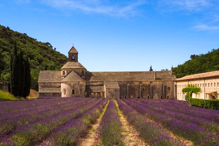 VIVA Cruises Reise Burgund und Provence