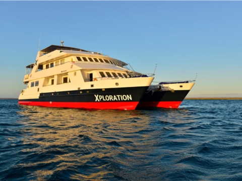 Celebrity Xploration Last Minute Kreuzfahrt 2024 buchen