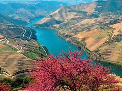  Douro Spirit Schiff - Daten Kabinen Deckplan