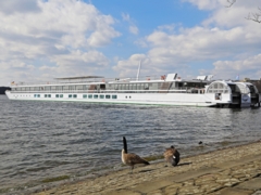 Schiffsbilder